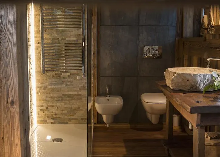 住宿加早餐酒店 Anisor - Parblanc 4*